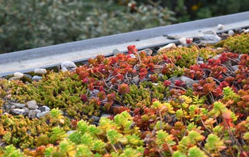 the cost of Coatham green roof installation