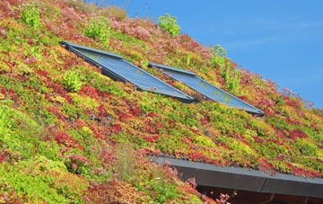 Coatham living roof systems