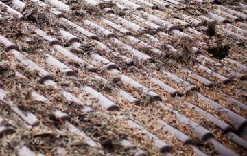 Coatham roof cleaning companies