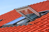 Coatham roof window